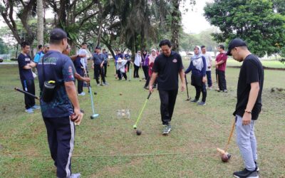 Department Team-Building: Casual Woodball